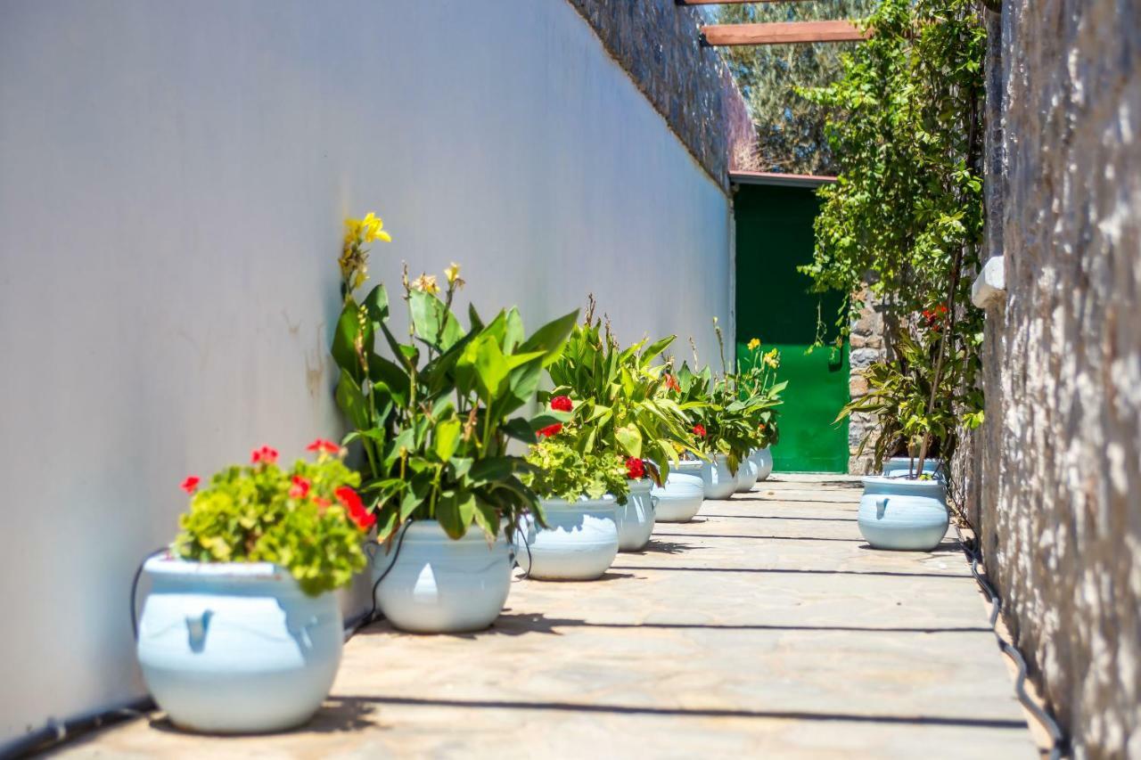 Villa Helios Kalathos Exterior foto